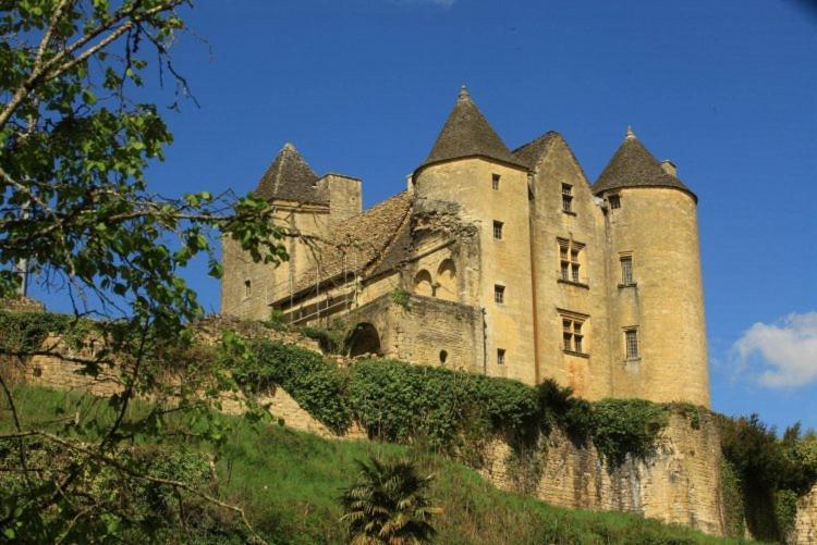 Petite Maison En Pierre Au Coeur Du Perigord Noir Proche De Sarlat Et Rocamadour Salignac Eyvigues Zewnętrze zdjęcie