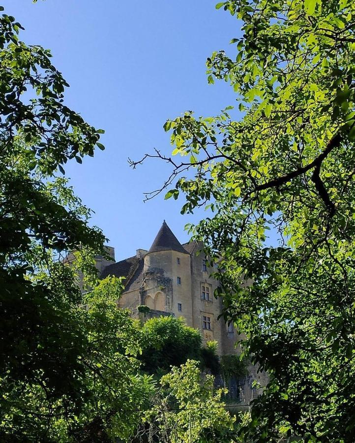 Petite Maison En Pierre Au Coeur Du Perigord Noir Proche De Sarlat Et Rocamadour Salignac Eyvigues Zewnętrze zdjęcie