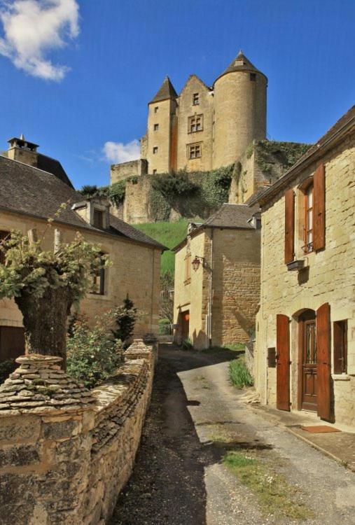 Petite Maison En Pierre Au Coeur Du Perigord Noir Proche De Sarlat Et Rocamadour Salignac Eyvigues Zewnętrze zdjęcie