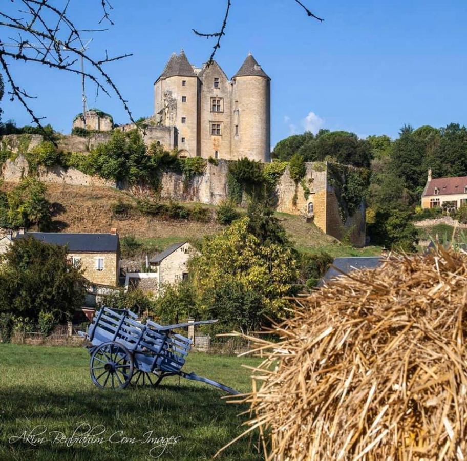 Petite Maison En Pierre Au Coeur Du Perigord Noir Proche De Sarlat Et Rocamadour Salignac Eyvigues Zewnętrze zdjęcie