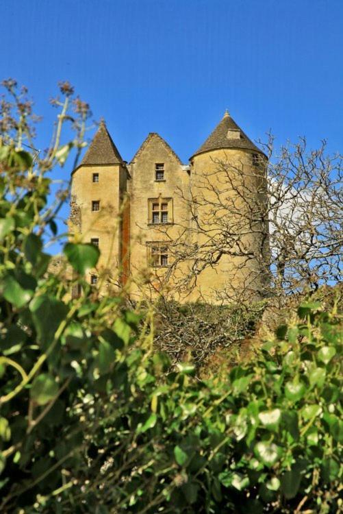 Petite Maison En Pierre Au Coeur Du Perigord Noir Proche De Sarlat Et Rocamadour Salignac Eyvigues Zewnętrze zdjęcie